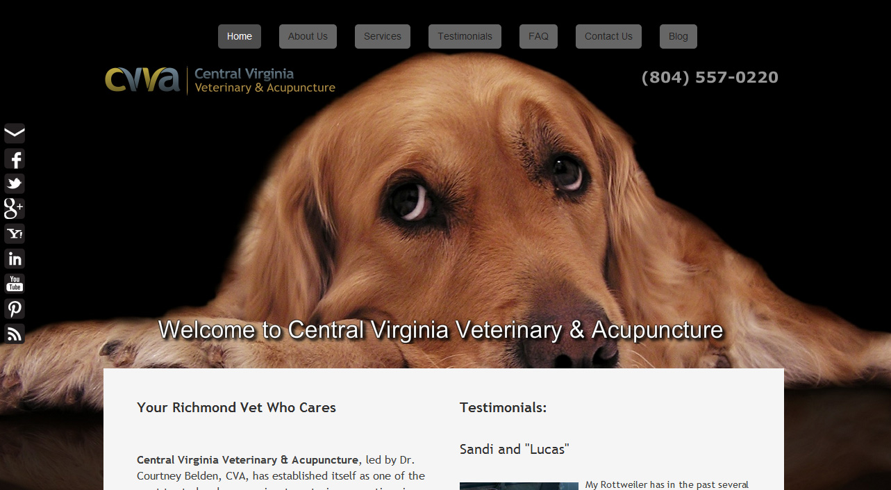 Central Virginia Vet Premium Weebly Templates and Weebly Themes