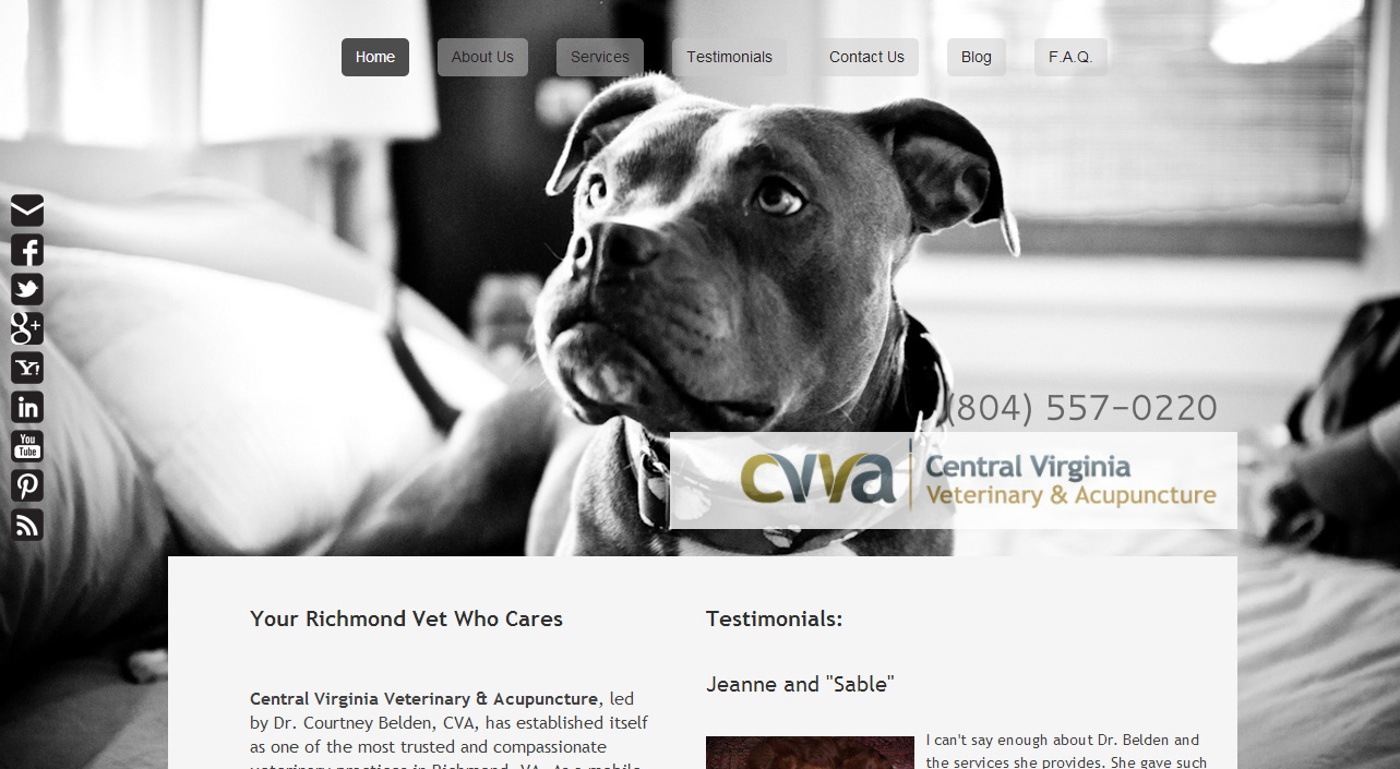 Showcase Central Virginia Vet 3 Premium Weebly Templates and Weebly