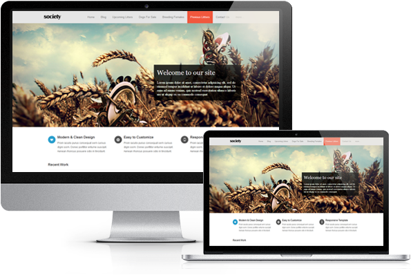 weebly website design