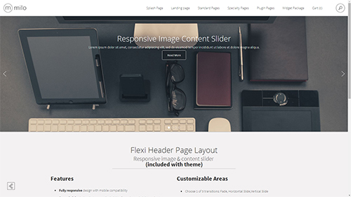  Flexi Header Page Layout