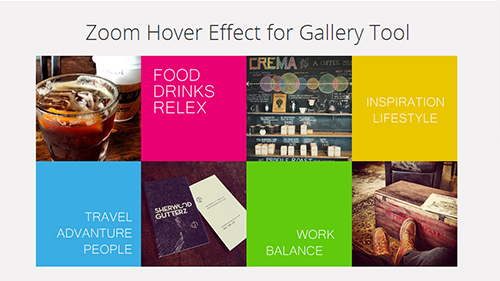  Gallery Zoom Hover Effect