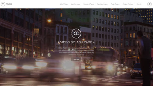  ScreenPlay Splash page Layout (milo 4.0+)
